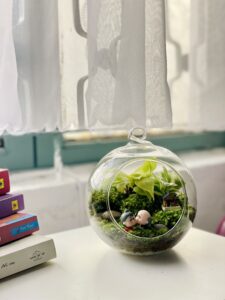 Terrarium