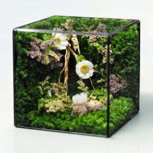 quà tặng xu hướng 2026