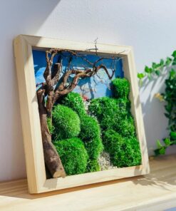 Damy - Dreamy Sunset