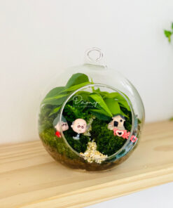 Alternative view of Damy - Love Strories 01