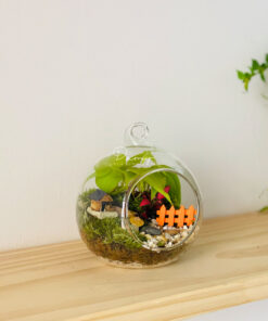 Alternative view of Damy - Home 01