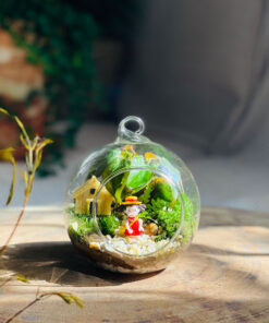 Alternative view of Damy - Little World 01