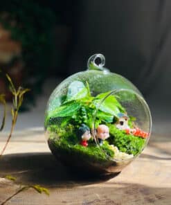 Damy - Love Stories 02