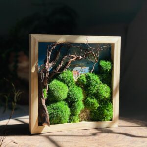 Terrarium