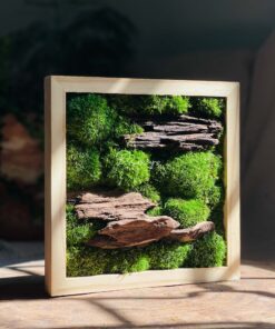 Alternative view of Damy - Emerald Dream