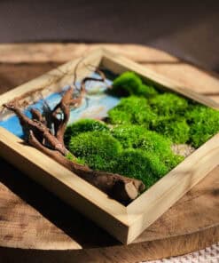 Alternative view of Damy - Dreamy Sunset