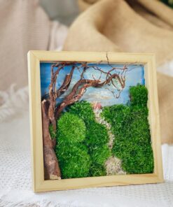 Damy - Dreamy Sunset