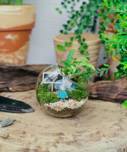 Alternative view of Damy - Tiny Garden 01