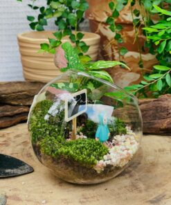 Damy - Tiny Garden 01