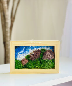 Alternative view of Damy - Litlle Ocean