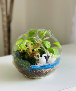 Damy - Blooming Love