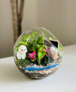 Damy - Tiny Garden 02