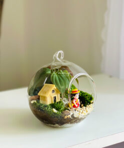 Damy - Little World 01