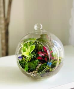 Alternative view of Damy - Forest